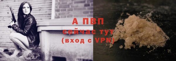 твердый Алексин