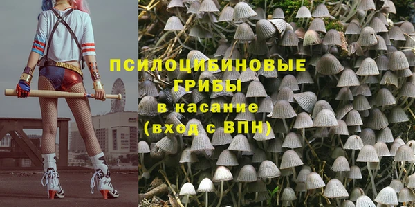 ПСИЛОЦИБИНОВЫЕ ГРИБЫ Алзамай