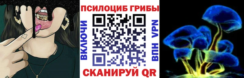 хочу   Ивангород  Псилоцибиновые грибы ЛСД 